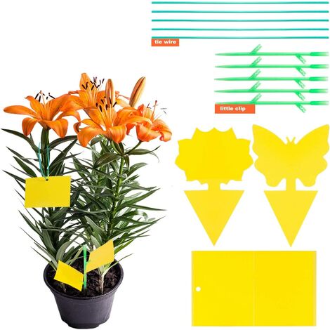 main image of "30pcs insect traps stuck traps stickers glue double-sided yellow caught flies white aphids for garden flower flower fruit (3 shapes) -a"
