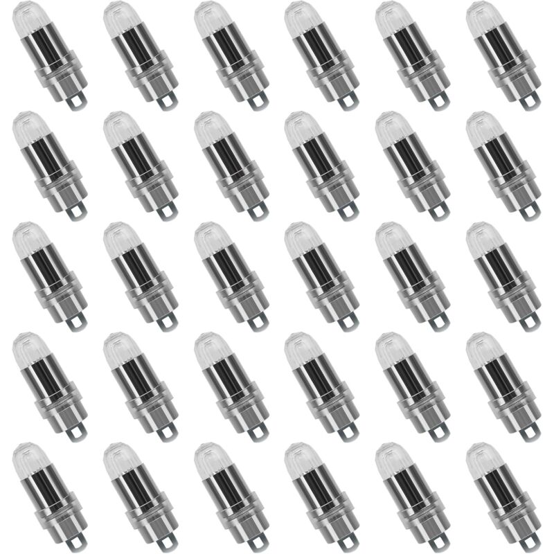 30PCS led Ballons Lampes Lumineuses Blanc Chaud pour Lanterne Papier Décoration Mariage, Fête [Classe énergétique a+]