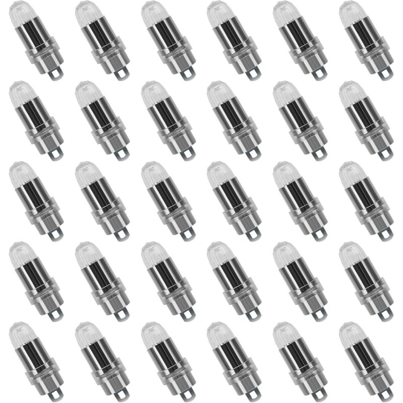 Rapanda - 30PCS led Ballons Lampes Lumineuses Blanc Chaud pour Lanterne Papier Décoration Mariage, Fête [Classe énergétique a+]-treetalk
