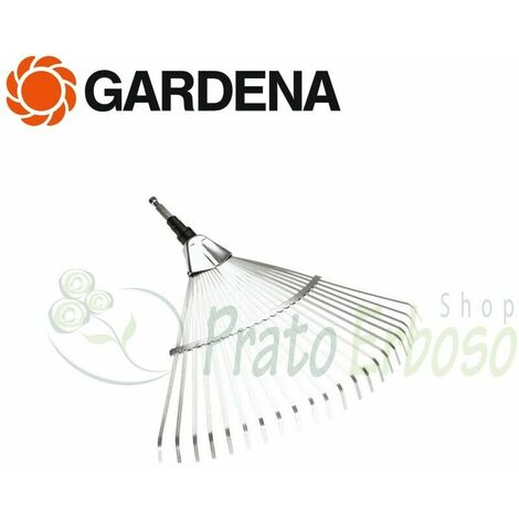 3102-20 - Folla sobre la hierba