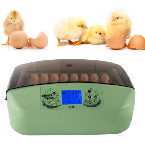 32 Digital Egg Incubator Temperature Control Hatcher Automatic Turning Chicken