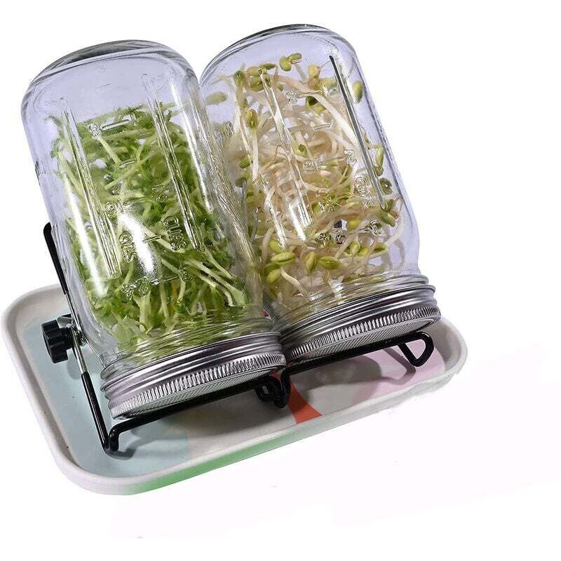 32 oz germoir pour graines à germer avec couvercles en Acier Inoxydable,Plateau, Support et Distributeur de graines