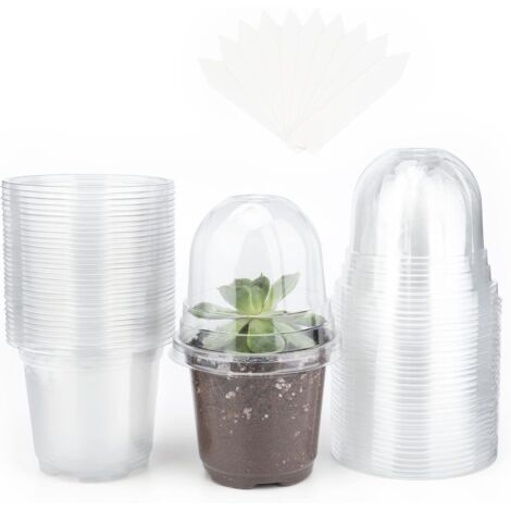 32 Pieces Pot semis Pot de Fleurs en Plastique Transparent avec Couvercle Transparent et 10 étiquettes de Plantes en Plastique 10 x 2cm