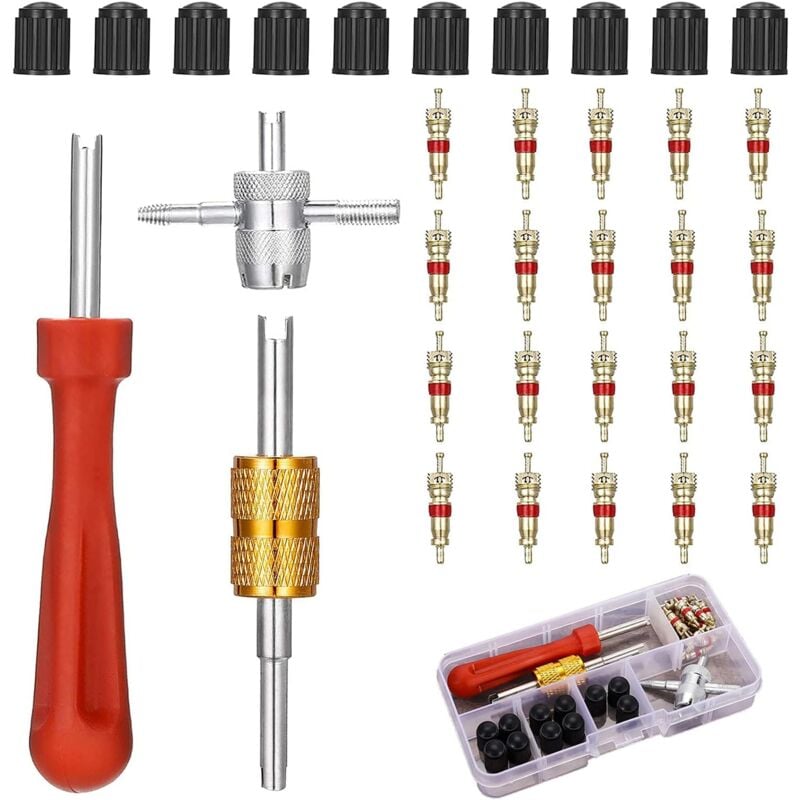 Csparkv - 33Pcs Tire Valve Stem Removal Kit with 20Pcs Valve Cores, Double and Single Head Valve Core Removers, 4Pcs Valve Tools and 10Pcs Tire Valve