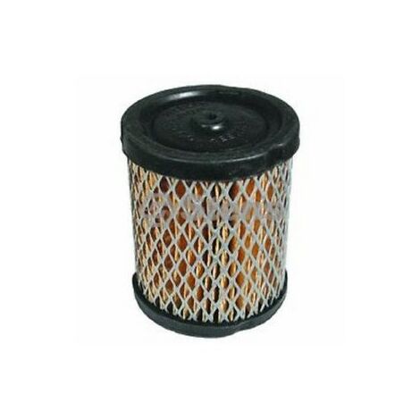34782A - Filtre à Air pour Moteur TECUMSEH / ASPERA