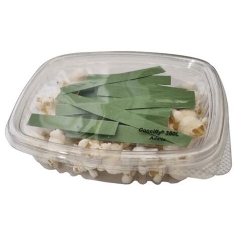 350 larves coccinelles adalia