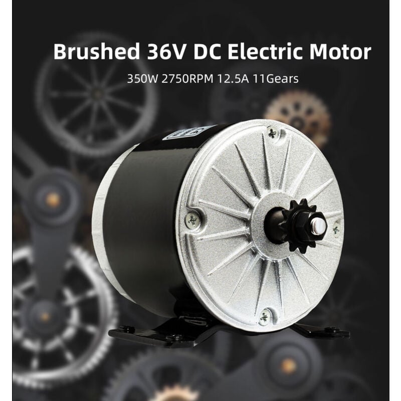 350W 36V Moteur générateur à aimant permanent Moteur générateur pour vélo Scooter