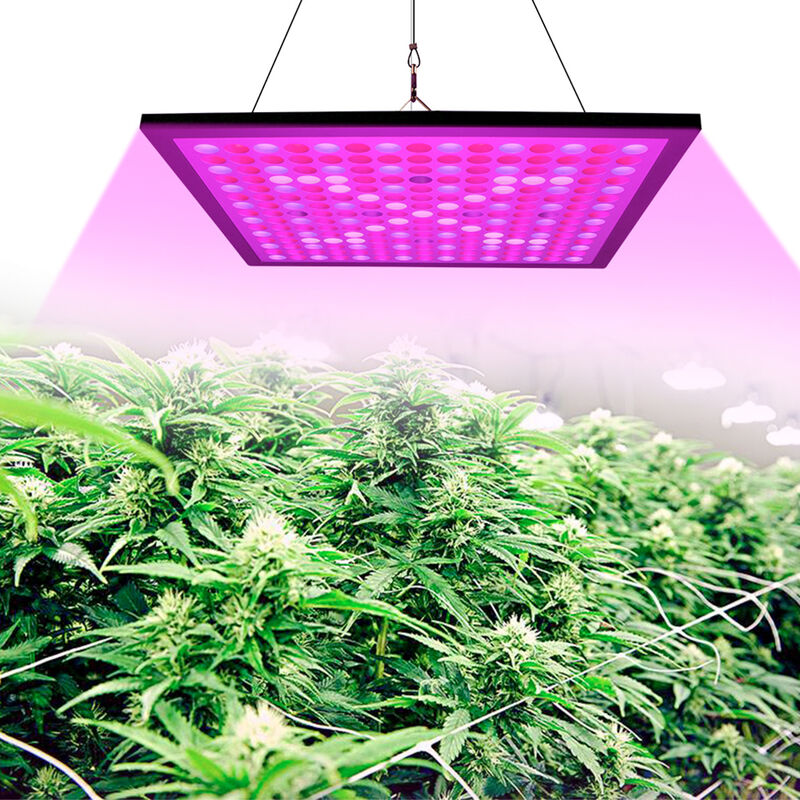 

35W LED Planta crece la luz,Full Spectrum LED Planta Crece la luz para Plantas Crecimiento Floracion