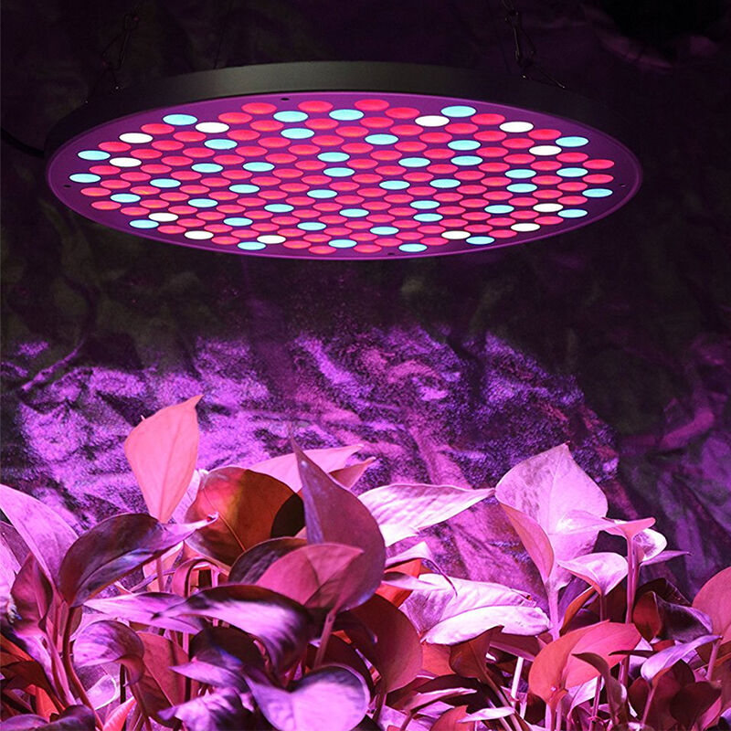 

35W LED Planta crece la luz,Full Spectrum LED Planta Crece la luz para Plantas Crecimiento Floracion Redonda