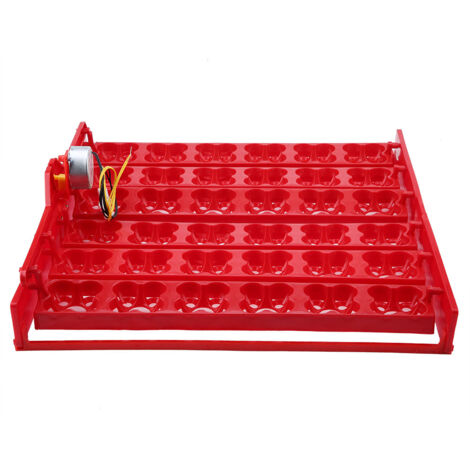 36 Oeufs/144 Oeufs d'Oiseau Incubateur Hatcher Oeuf Automatique Tournant Plateau Outil (moteur 110 V).