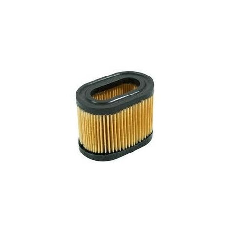 36745 - Filtre à Air pour Moteur TECUMSEH