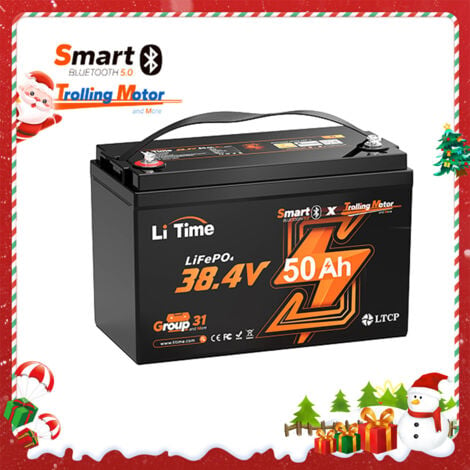 36V 50Ah Batterie Lithium LiFePO4 de Moteur Hors-bord Électrique/Moteur de Pêche à la Traîne Bluetooth LiTime, 7,68kWh d’énergie extensible, Max. 15000 Cycles pour Marine, Bateau, Matériel Agricole, S