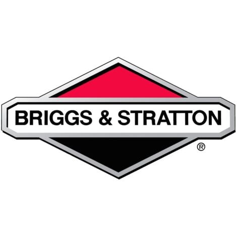 391485 - Bague étanche pour moteur BRIGGS ET STRATTON