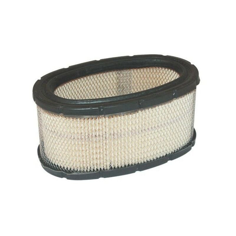 Briggs&stratton - 393725 - Filtre à Air pour moteur briggs et stratton