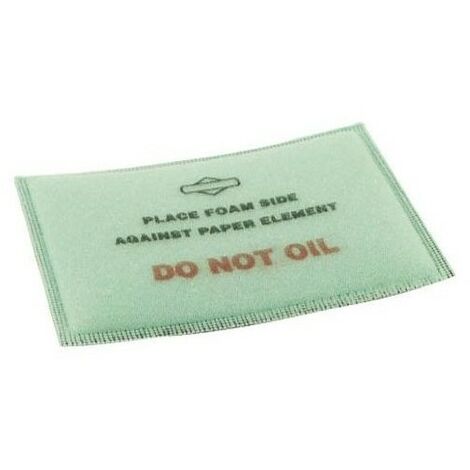 399039 - Pré Filtre à Air pour moteur BRIGGS et STRATTON