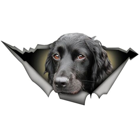 3D-Autoaufkleber „Gebrochener Hund“ – wasserfester Aufkleber für Windschutzscheibe, Wand und Notizbuch