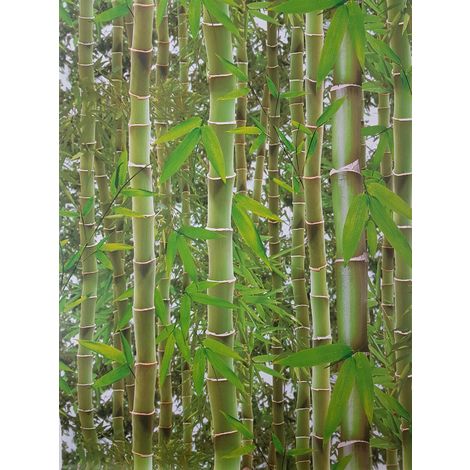 Jungle Tropical Rainforest Wallpaper Trees Flowers Floral Bamboo Green  Vinyl