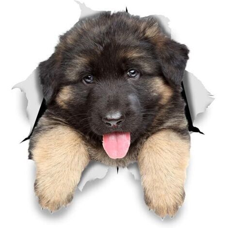 3D Hunde Wandaufkleber – 2er-Pack – Schäferhund Welpen Aufkleber für Wand – Kühlschrank – Toilette – Zimmer – Auto – Kühlschrank 11x12CM