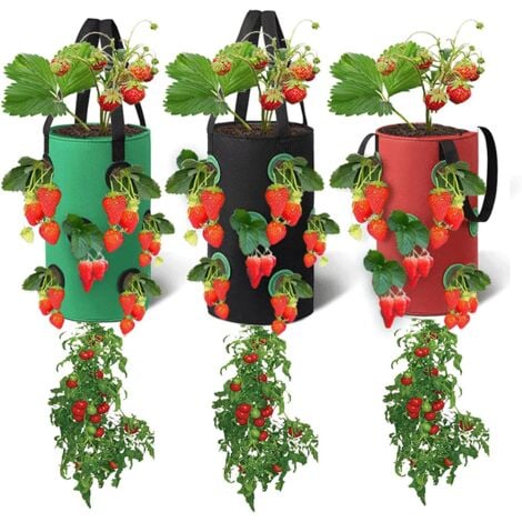 3er-Set hängende Pflanzbeutel, atmungsaktive Pflanzbeutel mit 12 Löchern, für Erdbeeren, Kräuter, Blumen, Gemüse, 20 cm 35 cm (Rot, Schwarz, Grün)