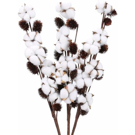 Bouquet fleur de coton