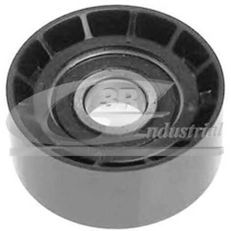 3RG 10240 RODILLO TENSOR