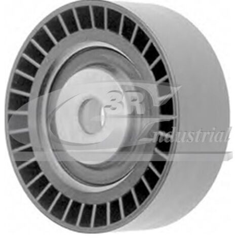 3RG 13103 RODILLO TENSOR