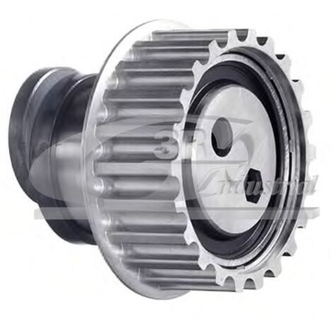 3RG 13107 RODILLO TENSOR