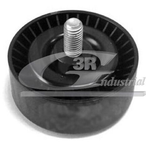 3RG 13109 RODILLO TENSOR