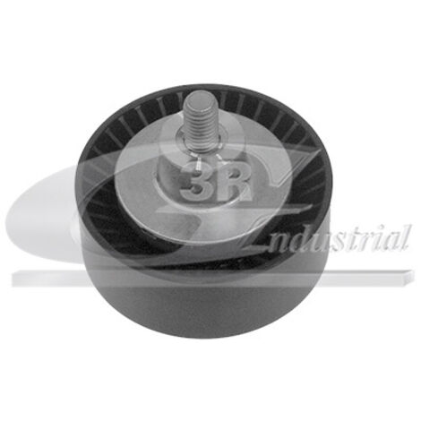 3RG 13111 RODILLO TENSOR