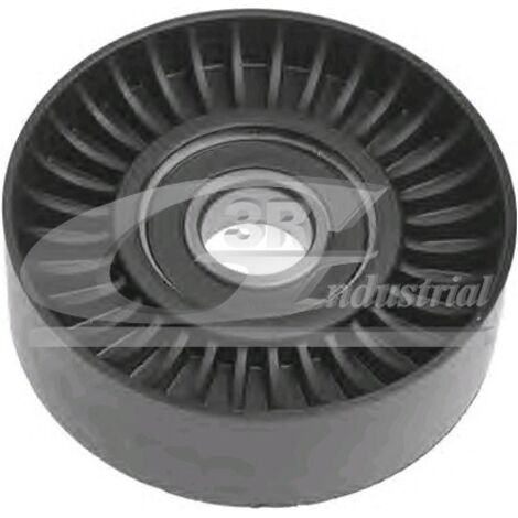 3RG 13207 RODILLO TENSOR