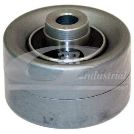 3RG 13215 RODILLO TENSOR