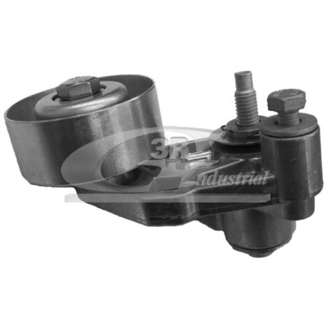 3RG 13219 RODILLO TENSOR