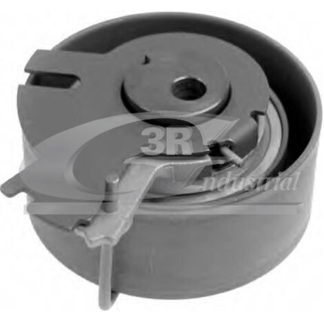 3RG 13227 RODILLO TENSOR