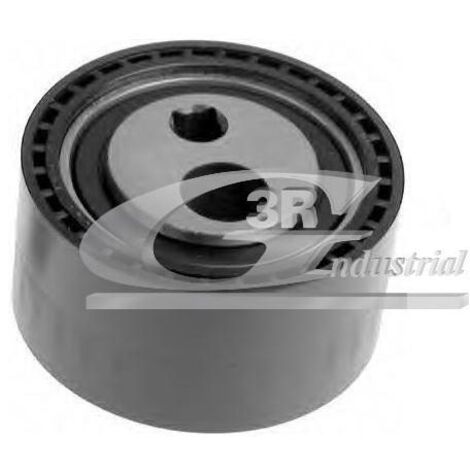 3RG 13231 RODILLO TENSOR