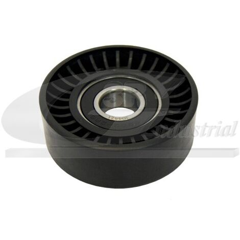 3RG 13234 RODILLO TENSOR