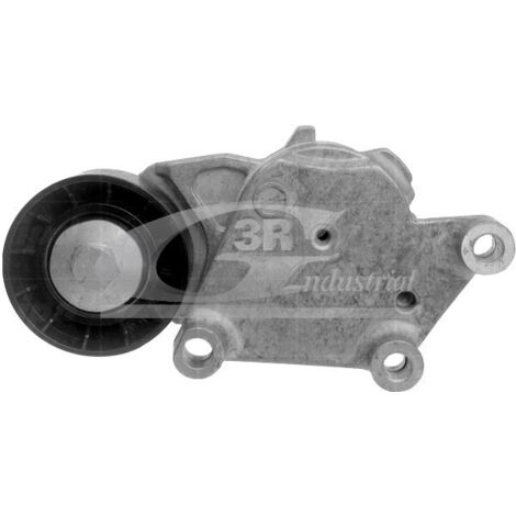 3RG 13242 RODILLO TENSOR