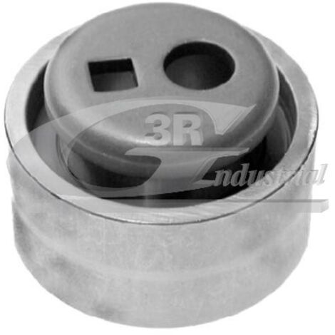 3RG 13243 RODILLO TENSOR