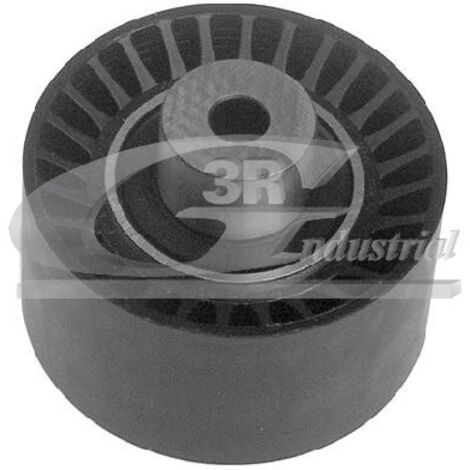 3RG 13244 RODILLO TENSOR