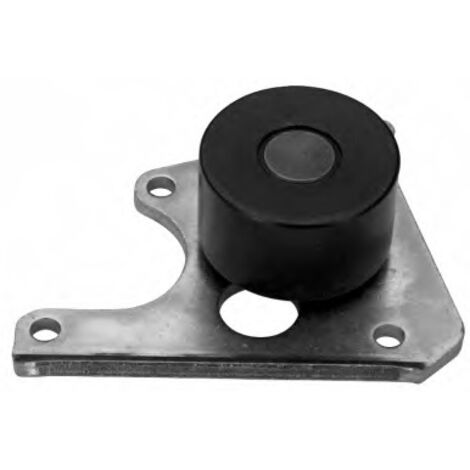 3RG 13254 RODILLO TENSOR