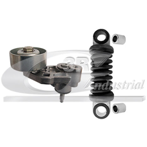 3RG 13256 RODILLO TENSOR