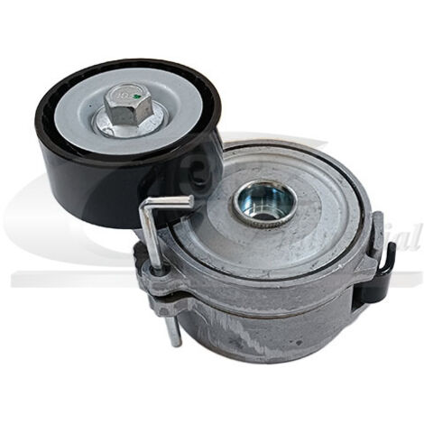 3RG 13259 RODILLO TENSOR