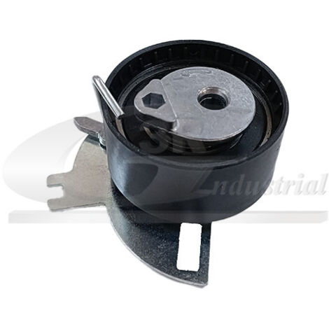 3RG 13262 RODILLO TENSOR