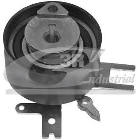 3RG 13309 RODILLO TENSOR