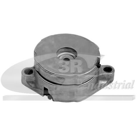 3RG 13313 RODILLO TENSOR