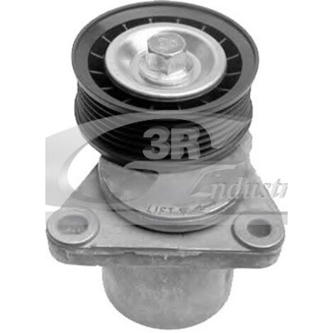 3RG 13314 RODILLO TENSOR