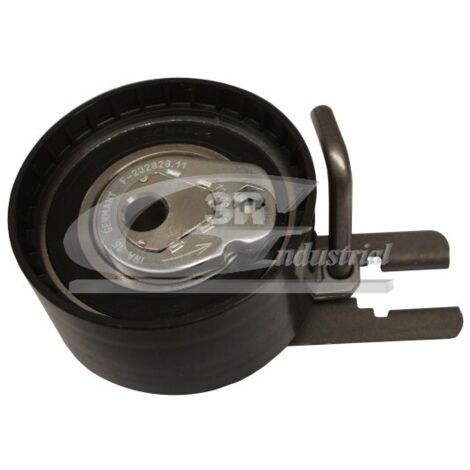 3RG 13318 RODILLO TENSOR