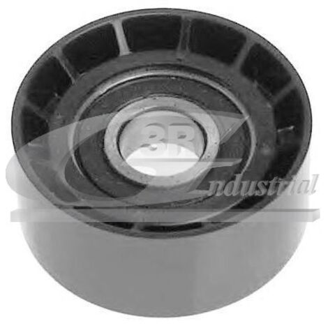 3RG 13319 RODILLO TENSOR