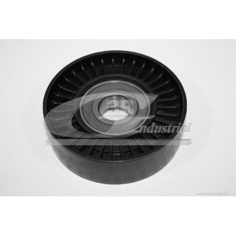 3RG 13411 RODILLO TENSOR