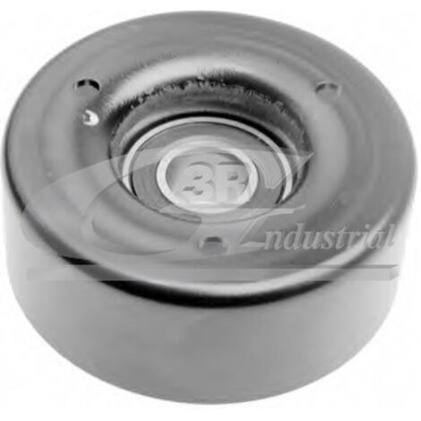 3RG 13501 RODILLO TENSOR