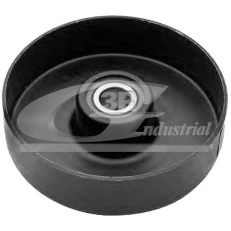 3RG 13504 RODILLO TENSOR